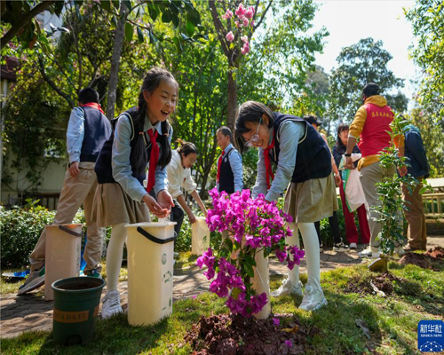 為春日添新綠